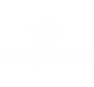 Logo-Hernani-constrution-Intro-Branding
